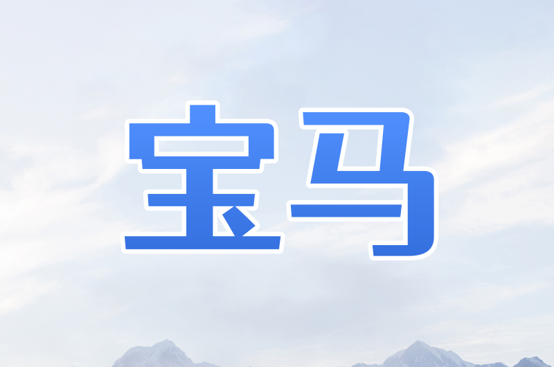 宝马IP | 全局改IP软件 |