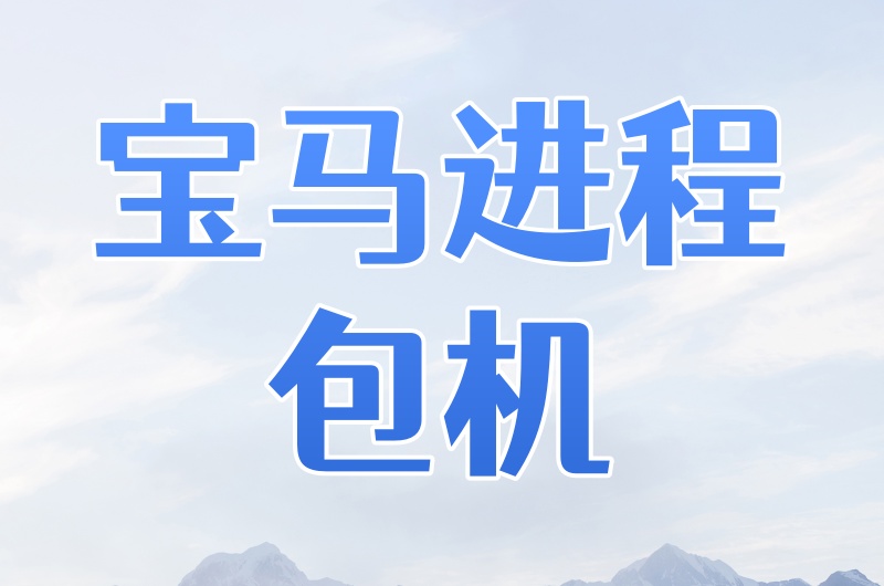 宝马进程版：只更改指定项目进程IP 