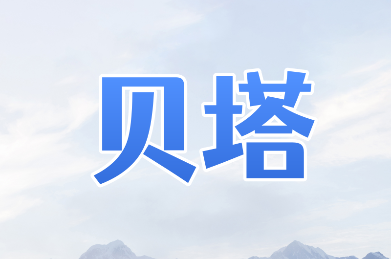 贝塔进程包机动态ip单窗口单ip